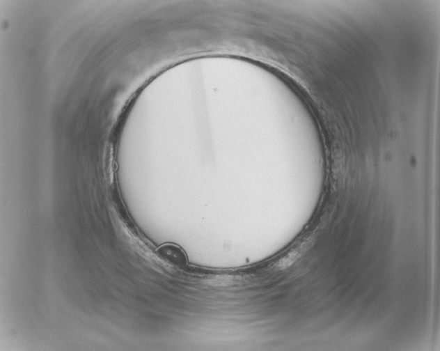 X0000052611510200507221646