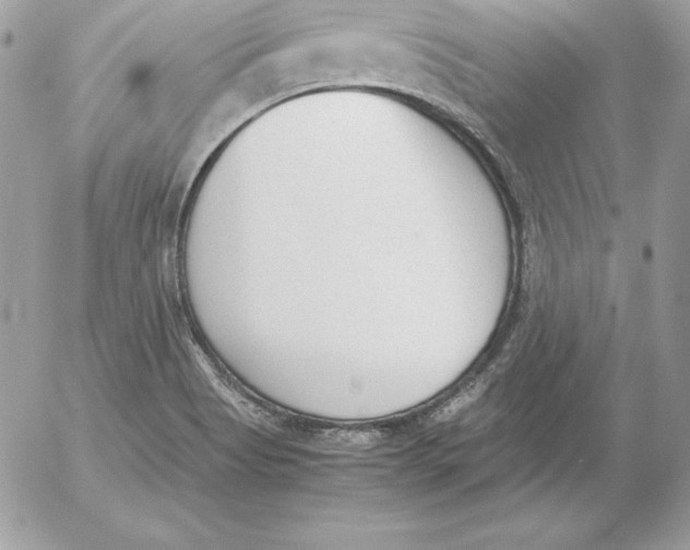 X0000052611513200507221646