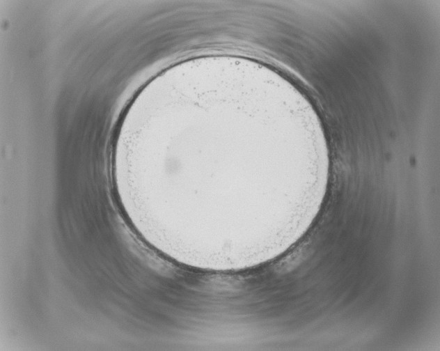 X0000052611514200507221646