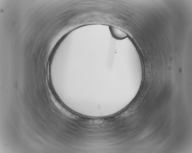 X0000052611515200507221646