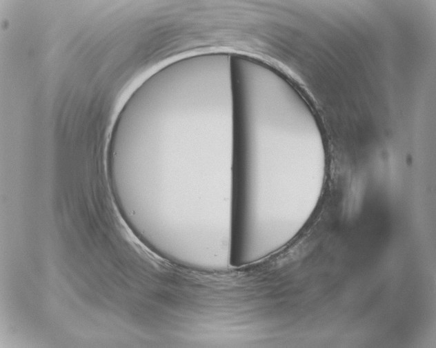 X0000052611516200507221646