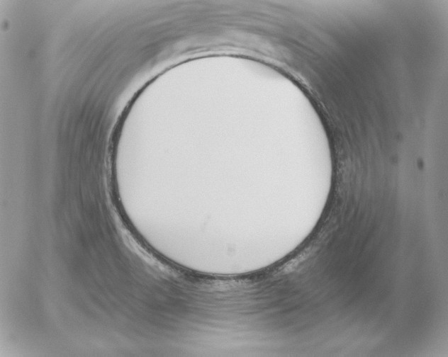 X0000052611518200507221646