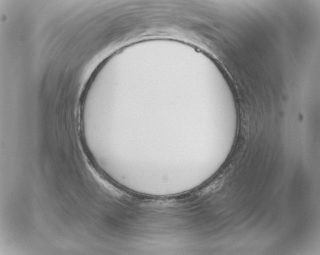 X0000052611519200507221646