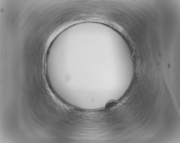 X0000052611520200507221646