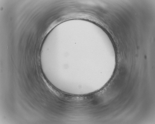 X0000052611521200507221646