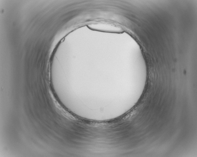 X0000052611522200507221646