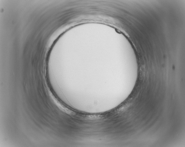 X0000052611523200507221646