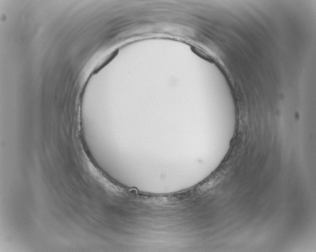 X0000052611524200507221646