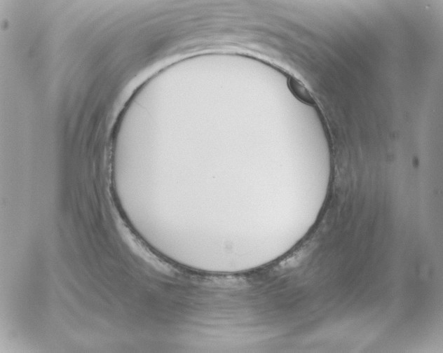 X0000052611526200507221646