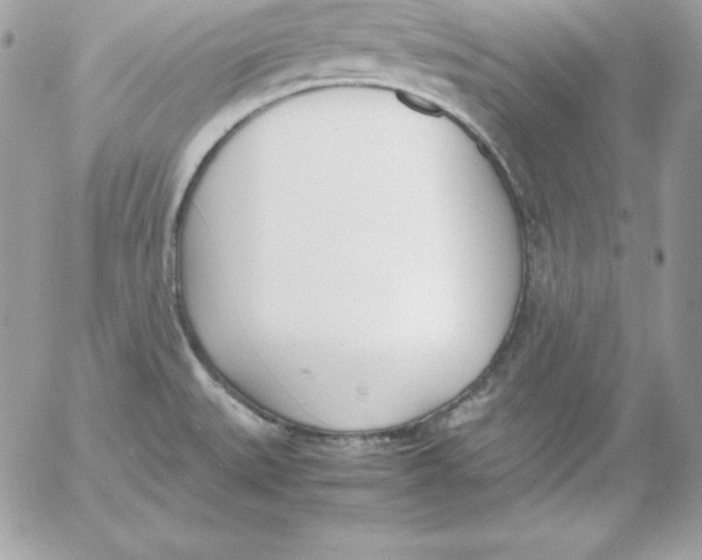 X0000052611527200507221646