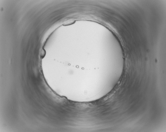 X0000052611528200507221646