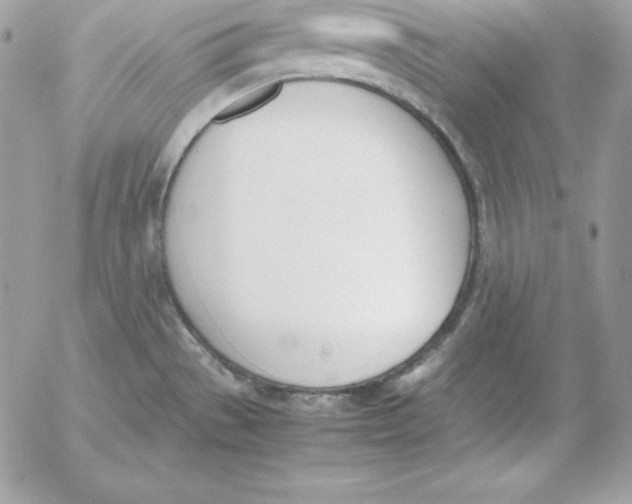 X0000052611529200507221646