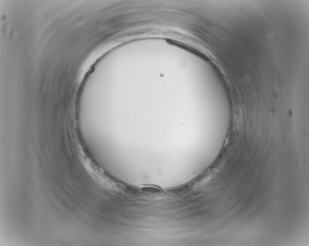 X0000052611530200507221646