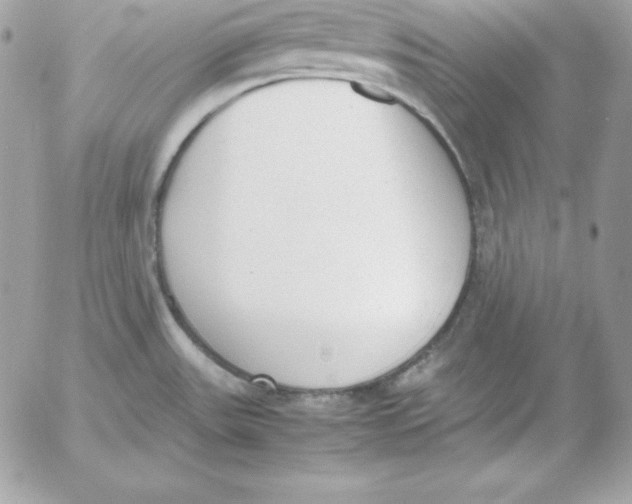 X0000052611531200507221646