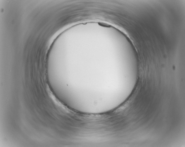 X0000052611534200507221646