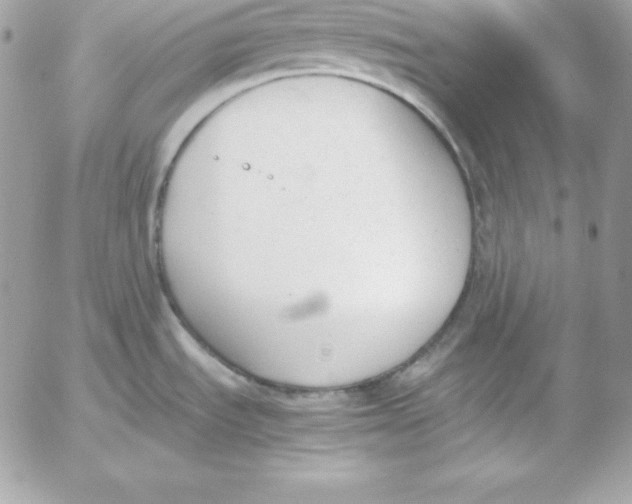 X0000052611535200507221646