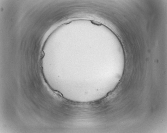 X0000052611536200507221646