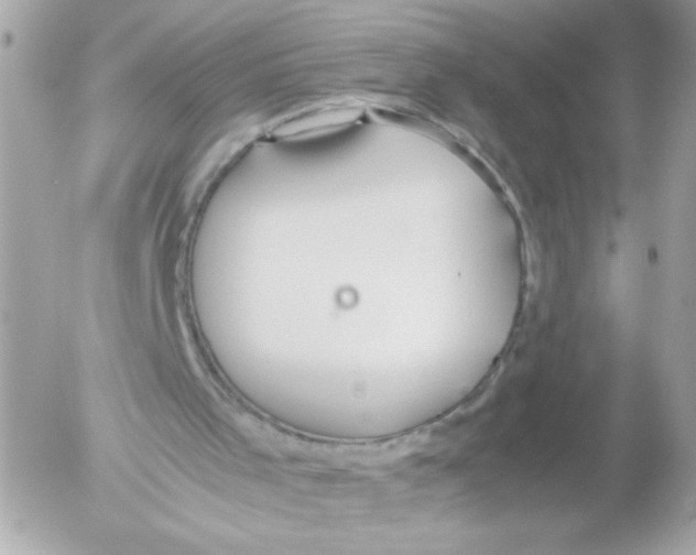 X0000052610001200507292200