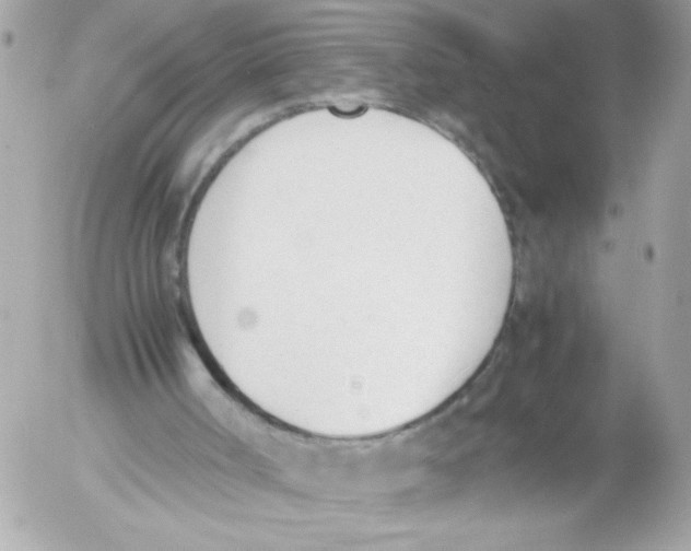 X0000052610002200507292200