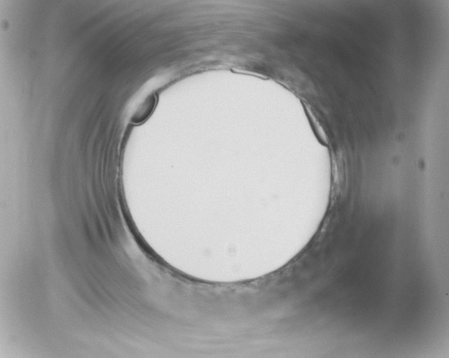 X0000052610003200507292200