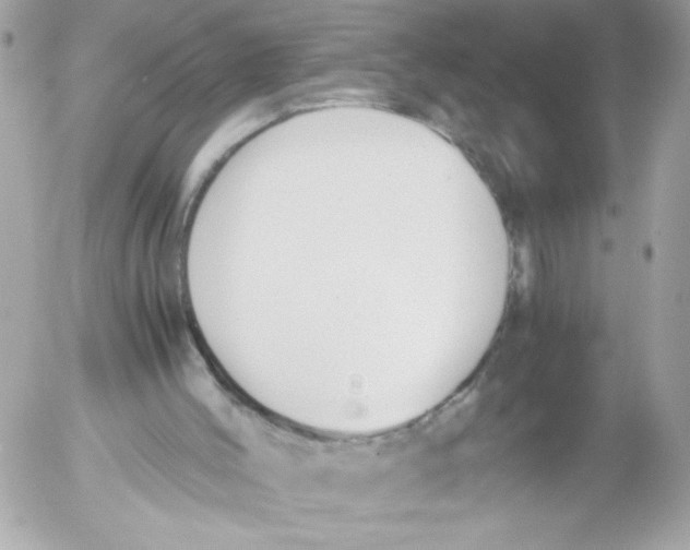 X0000052610004200507292200