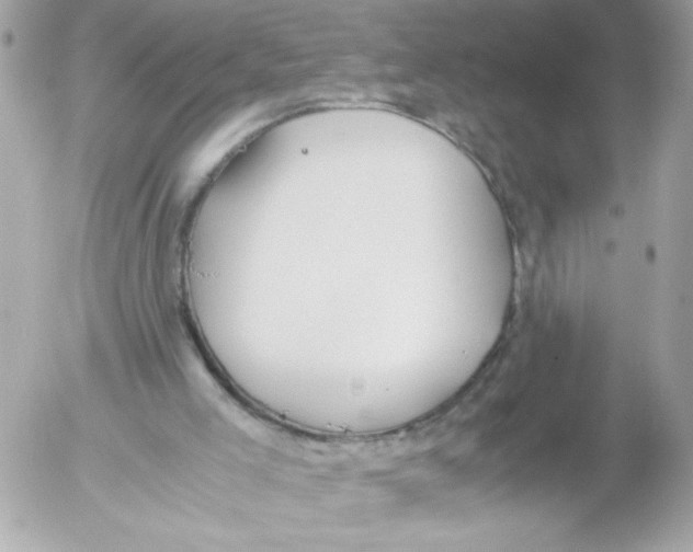 X0000052610005200507292200