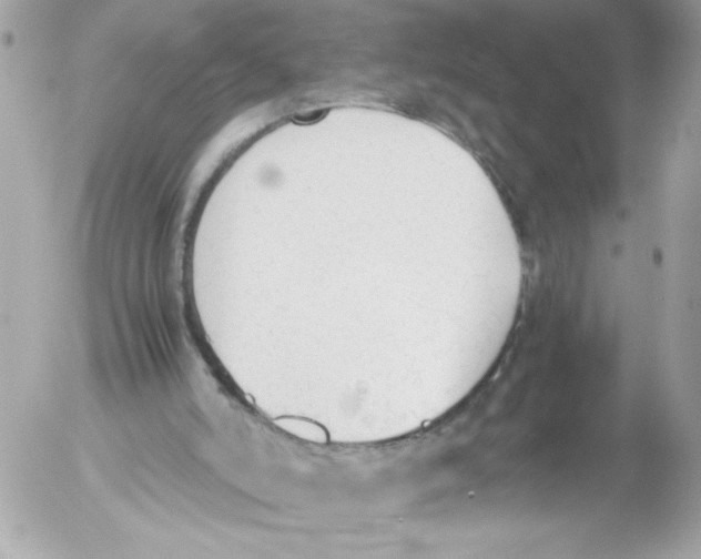 X0000052610006200507292200