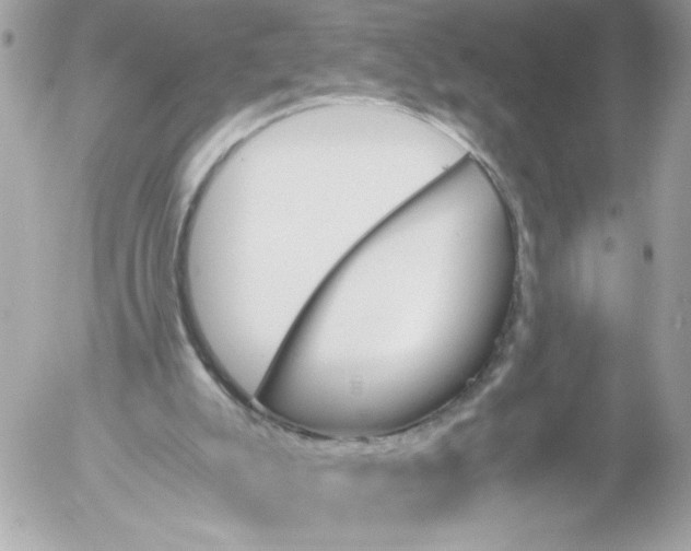 X0000052610007200507292200