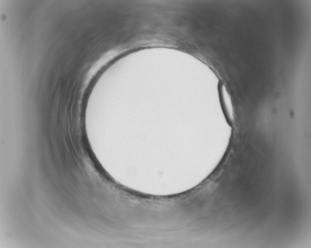 X0000052610008200507292200