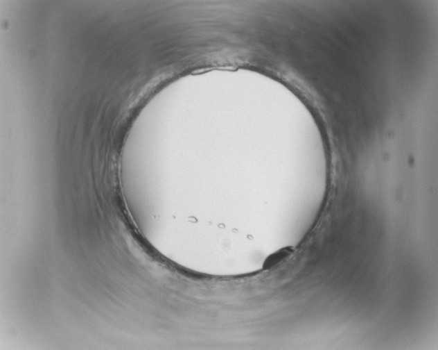 X0000052610009200507292200