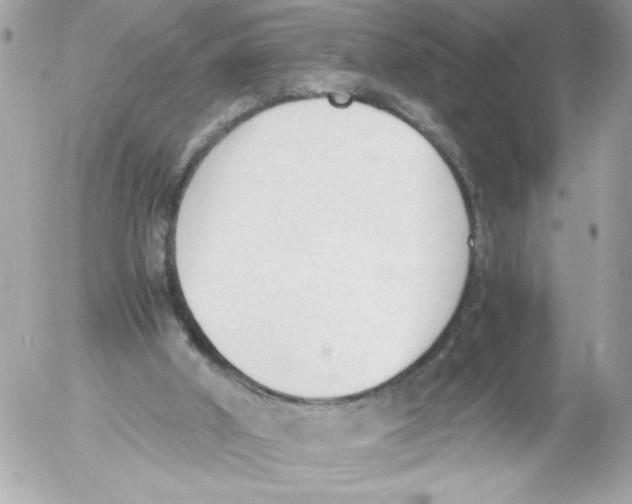 X0000052610010200507292200