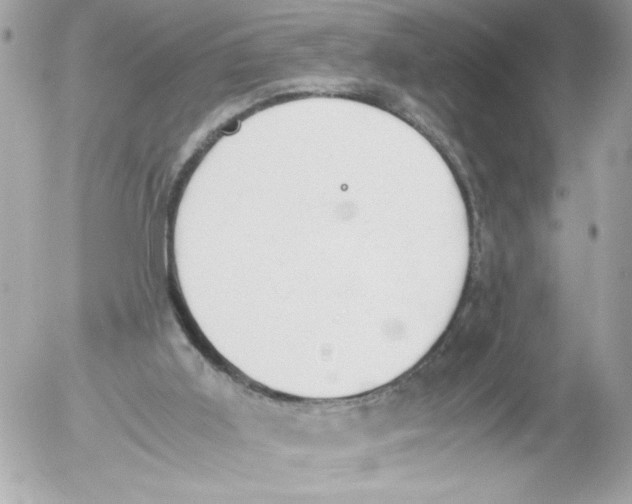 X0000052610011200507292200