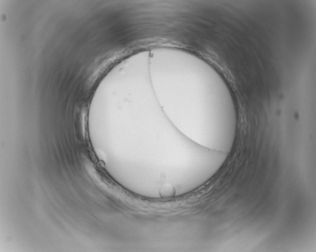 X0000052610014200507292200