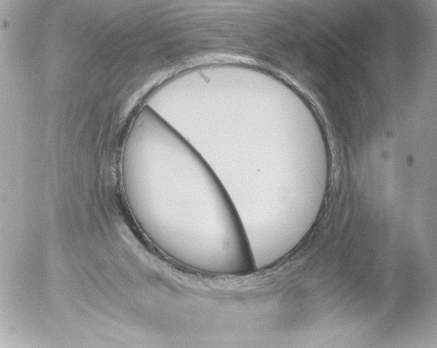 X0000052610015200507292200