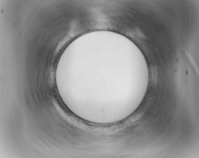 X0000052610016200507292200