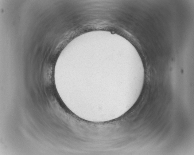 X0000052610018200507292200