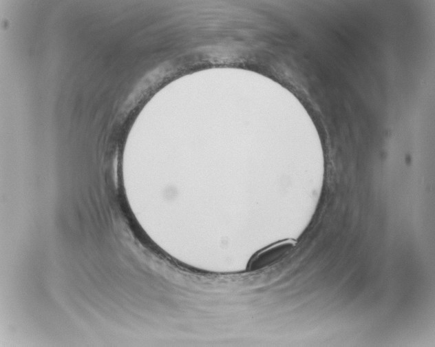 X0000052610019200507292200