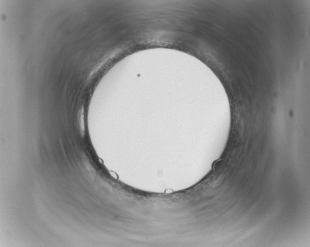 X0000052610020200507292200