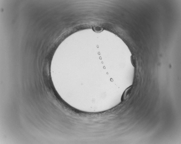 X0000052610021200507292200