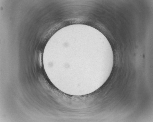 X0000052610022200507292200