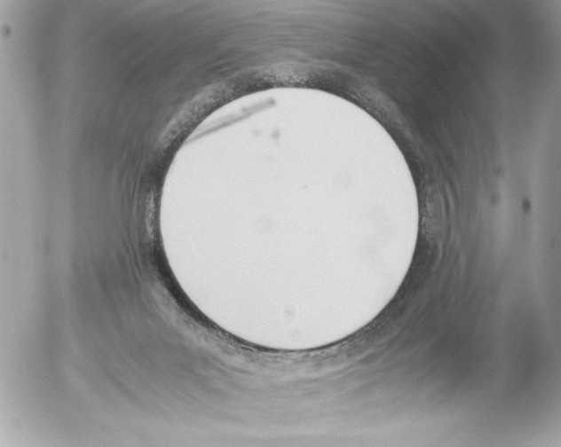 X0000052610023200507292200