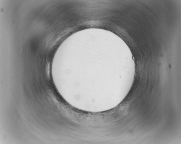 X0000052610024200507292200