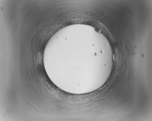 X0000052610025200507292200