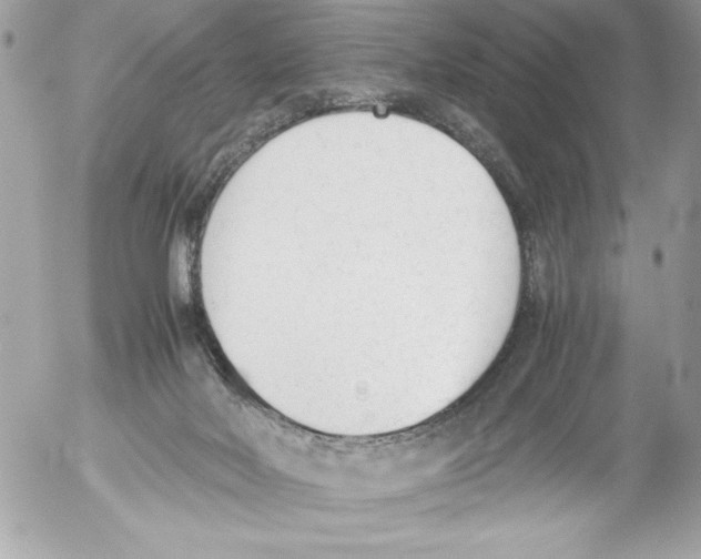 X0000052610026200507292200