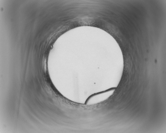 X0000052610027200507292200