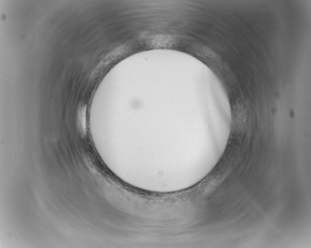 X0000052610028200507292200