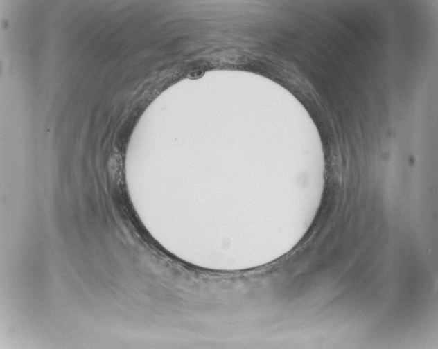 X0000052610029200507292200