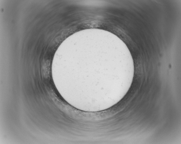 X0000052610030200507292200