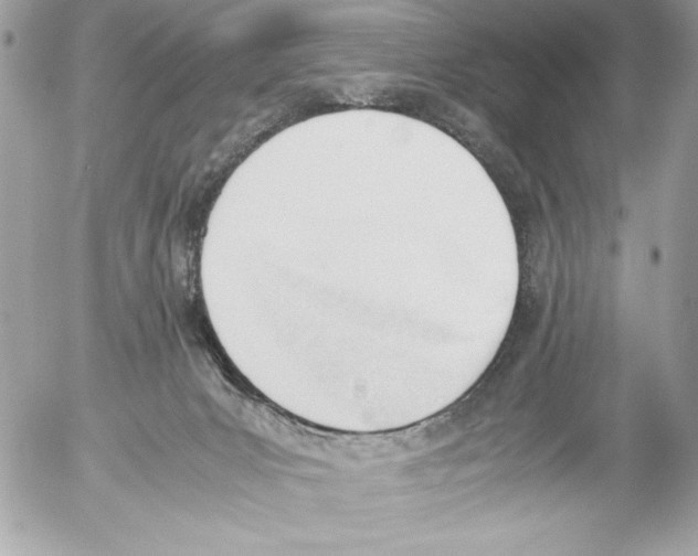 X0000052610031200507292200