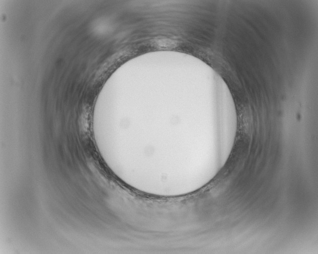 X0000052610032200507292200